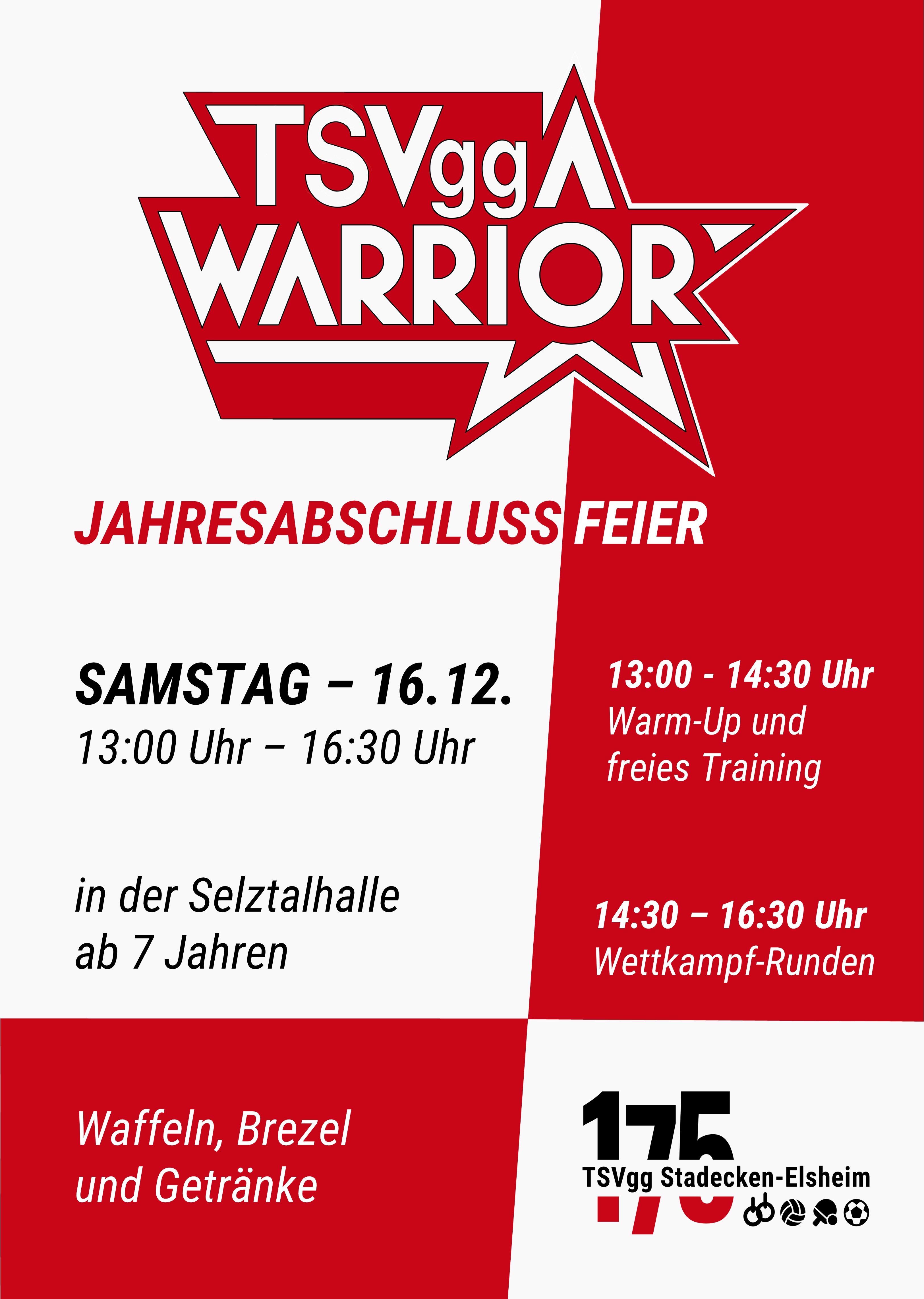 Plakat TSVgg Warrior